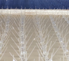 BirdScare Spikes